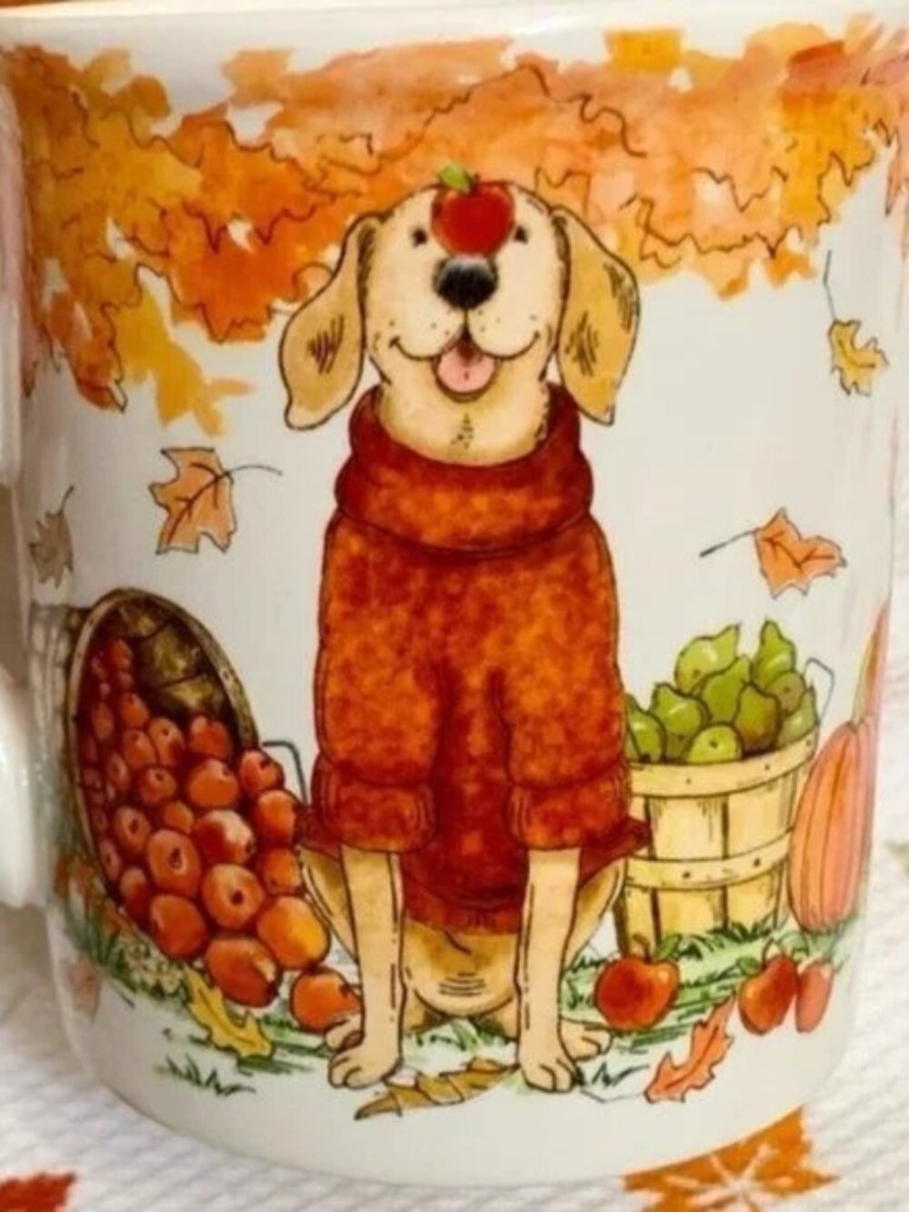 NEW Dog Sweater Golden Retriever Mug Fall Pumpkin Apples Certified International